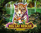 Big Cat Rescue Megaways